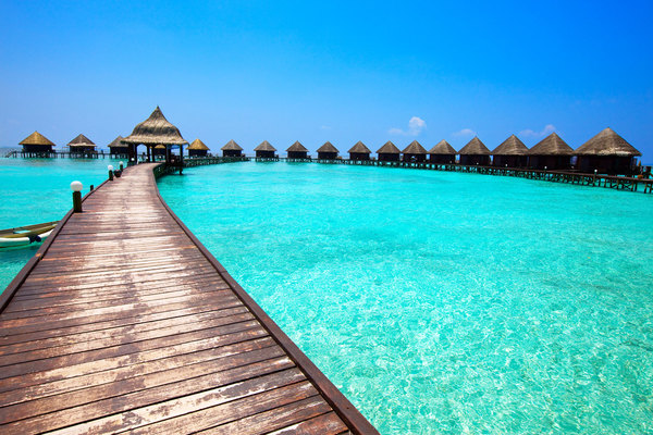 maldives_tropicallife[1]