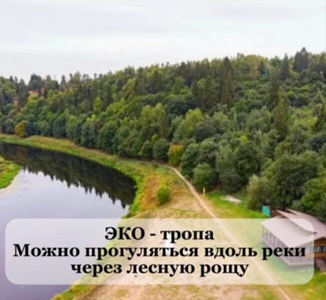 Без названия (2)