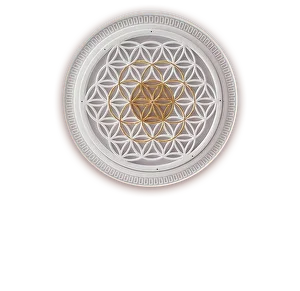 Ретритный Центр ЦВЕТОК ЖИЗНИ