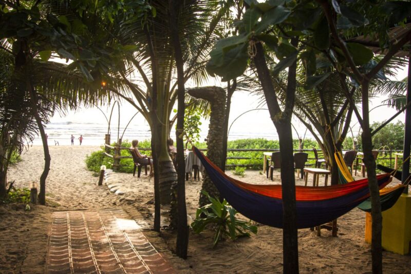 Без названия (12)