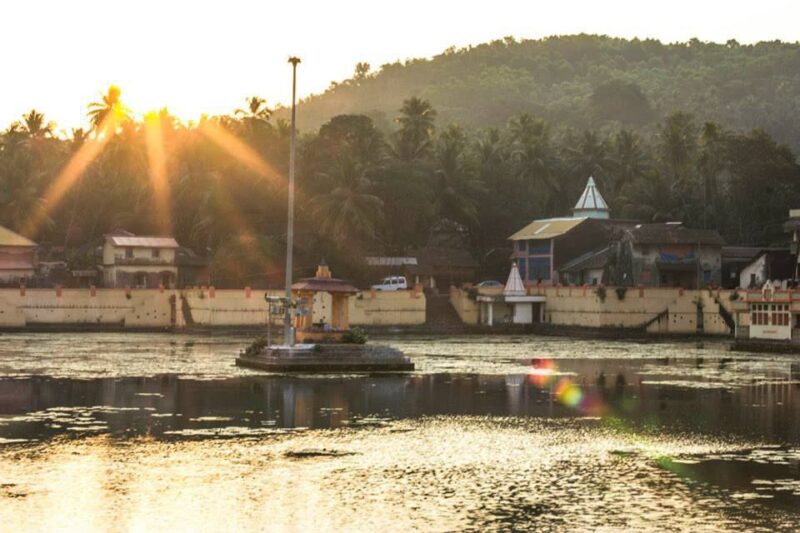 Без названия (13)