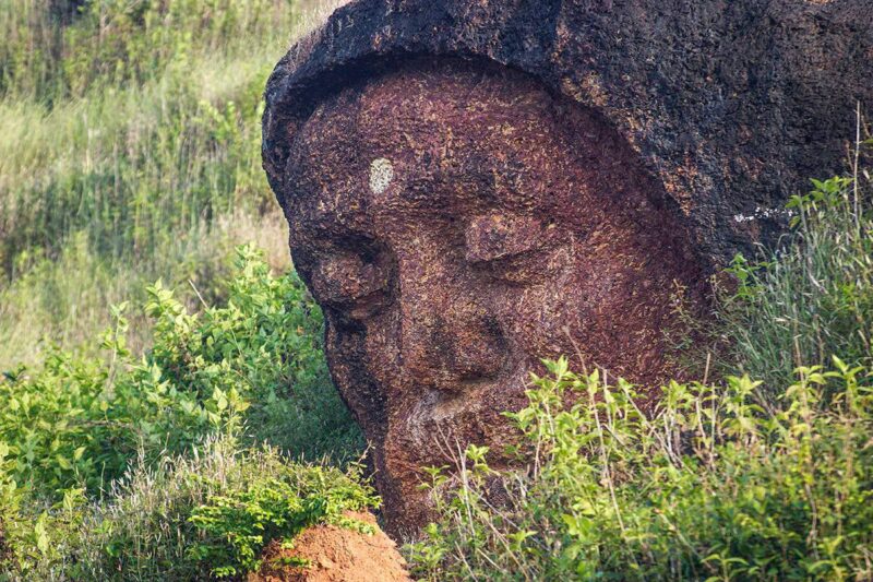 Без названия (14)