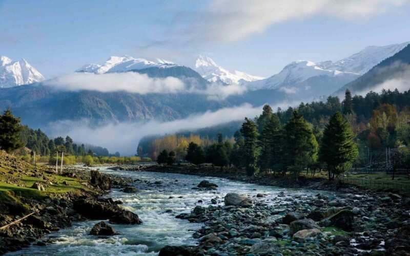 Без названия (2)