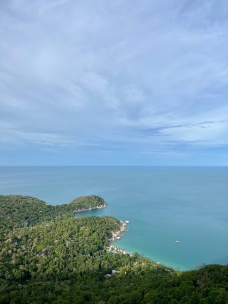 Без названия (2)