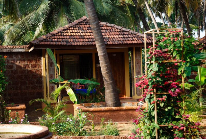 Без названия (6)