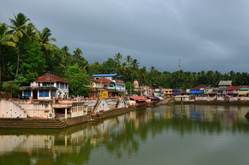 Без названия (8)