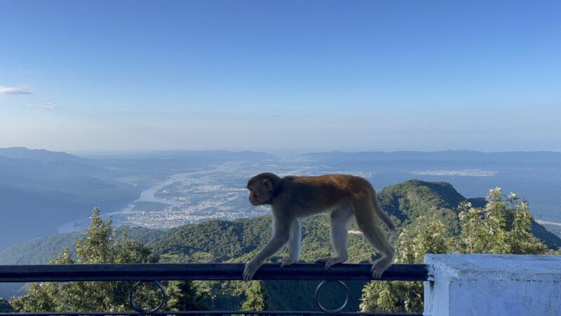 Без названия (8)