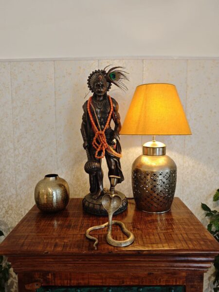 photo_2025-11-20_16-31-04