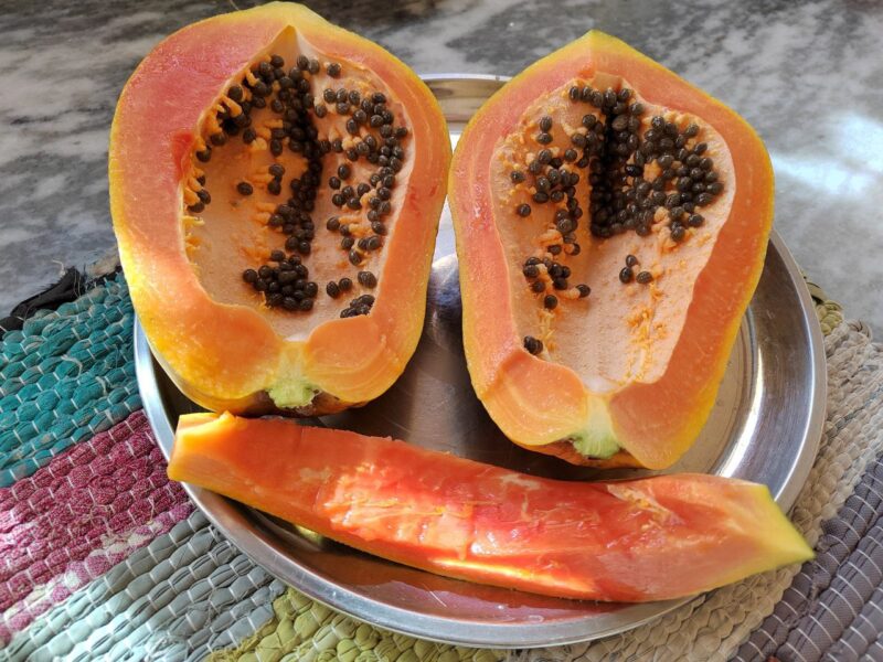 photo_2025-11-20_16-56-54