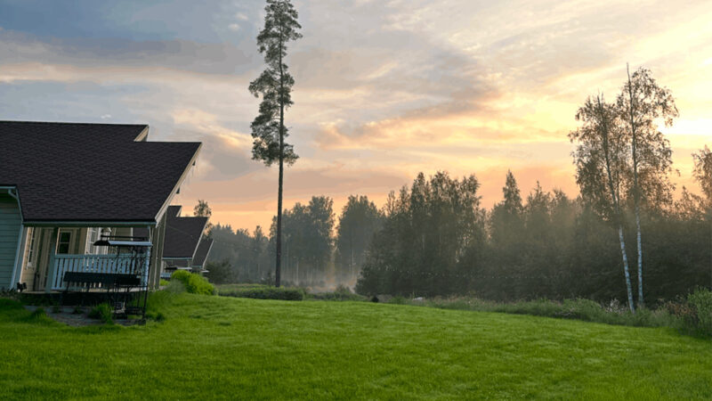 image-4 — Галина Ковалева