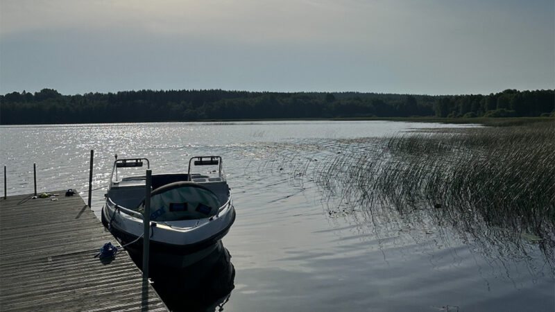 image-6 — Галина Ковалева